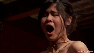 خوبصورت تمام قدرتی بندوں مینڈی فن کی دیوی اور کینڈل کے پابند ہیں اور جسمانی سزا تو آخر بڑا ڈک کی طرف سے جان پر مضبوط ناشتا میں پارٹی کی بالائی منزل