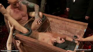 Batan-ong mga buhok ulipon nga si Adriana Chechik mao ang gitaptapan ug nagpugong unya big manok giiyot pinaagi sa mga bituong Abug sa ilalum sa kontrol sa dom Princess Donna Dolore sa publiko