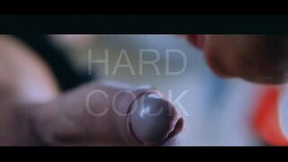 Поляк һөйәркәһе - тренер сисси