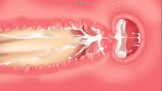 Jyoshikosei ጋር washitsu ነው Misooden