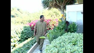 Metro - Du Cnawdol Coeds 13 - movie Llawn