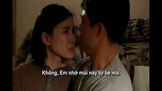 SHM - EBOLA SYNDROM 1996 SUBVIET